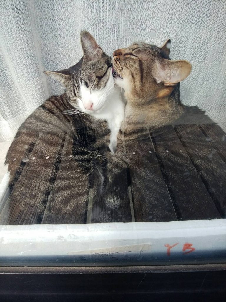 連休のお知らせ