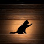猫ちゃん照明